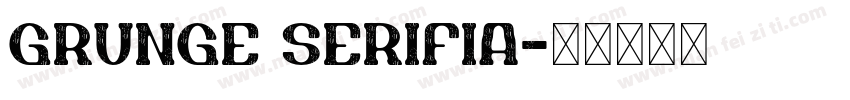 Grunge Serifia字体转换